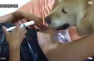 Em gái chó sex thú tính chất lượng HD khiêu dâm